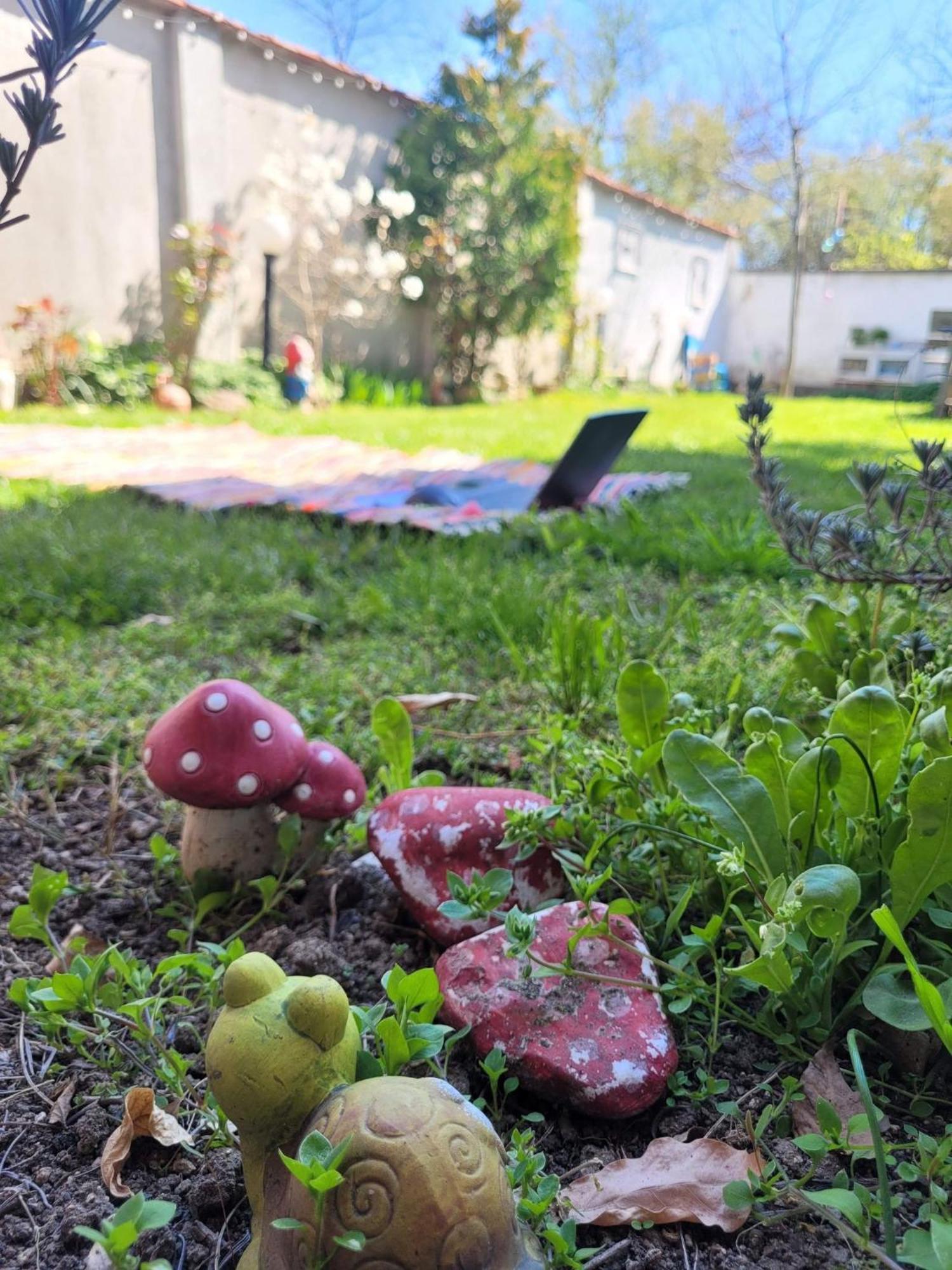 Вила Топи Kaloyanovo  Exteriér fotografie